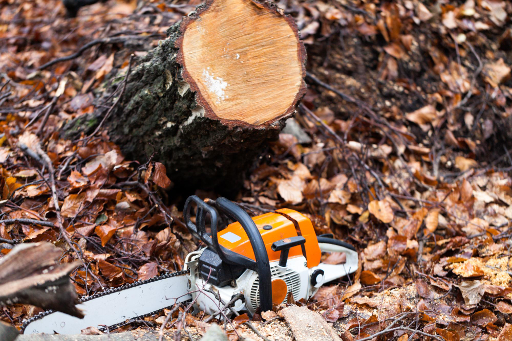 Land clearing company in Marietta, Ohio